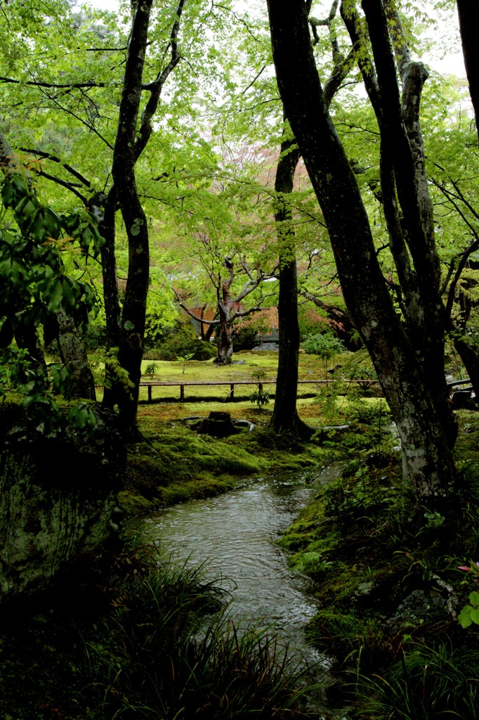 雨の宝厳院 02