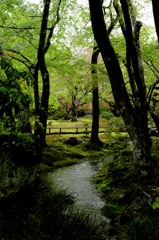 雨の宝厳院 02