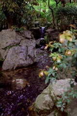 IMG_3986s
