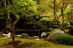知恩院_万丈庭園