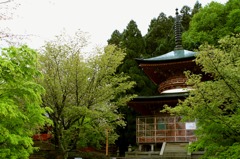 雨の法輪寺 01