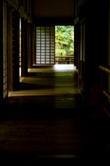 青蓮院