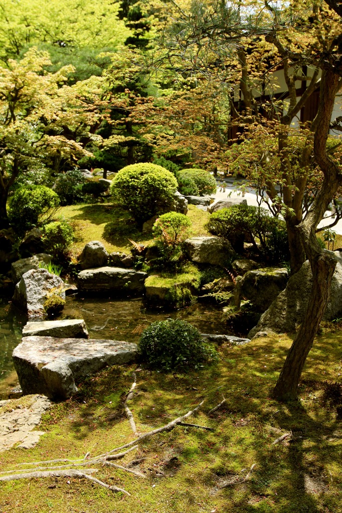知恩院_万丈庭園