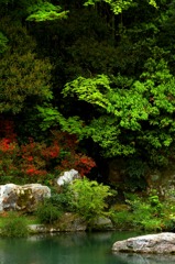 青蓮院