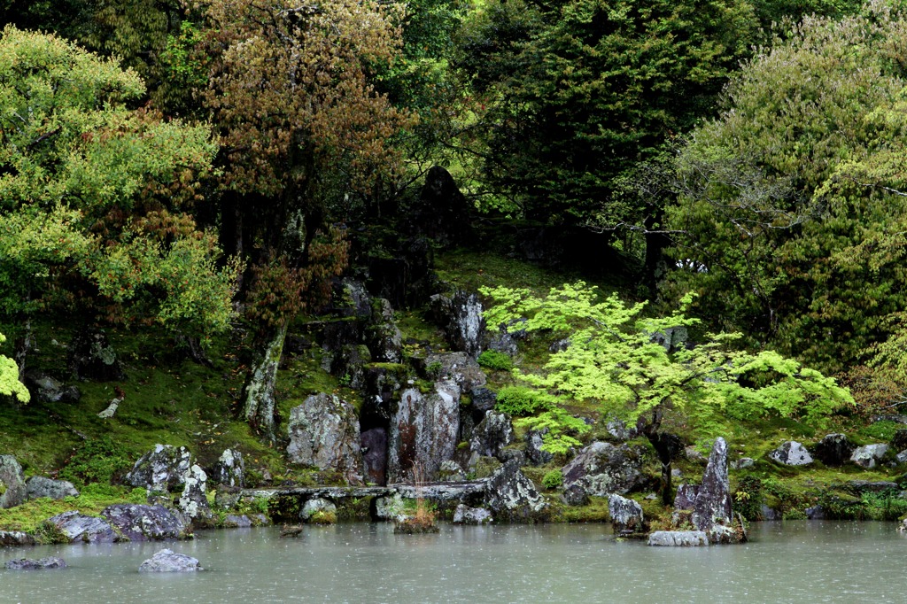 雨の天龍寺 01