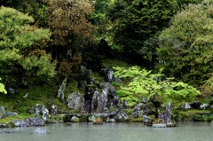 雨の天龍寺 01