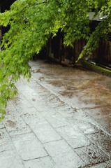 雨の法輪寺 02