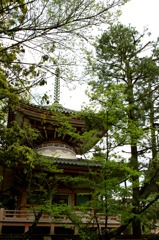 知恩院
