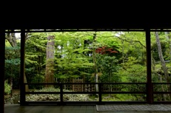 IMG_3595s