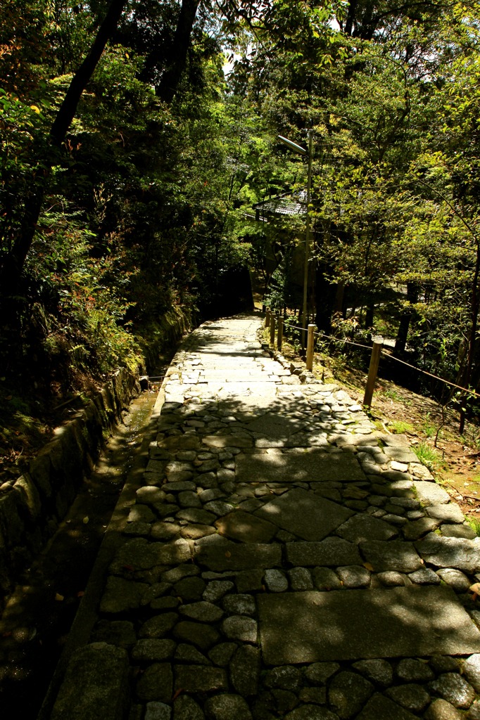 知恩院_万丈庭園