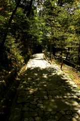 知恩院_万丈庭園