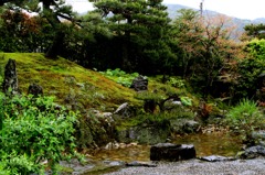 雨の天龍寺 02
