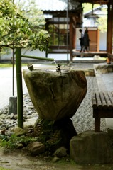IMG_4737s