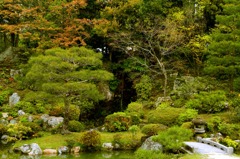 IMG_3706ss