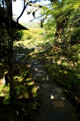 無鄰庵