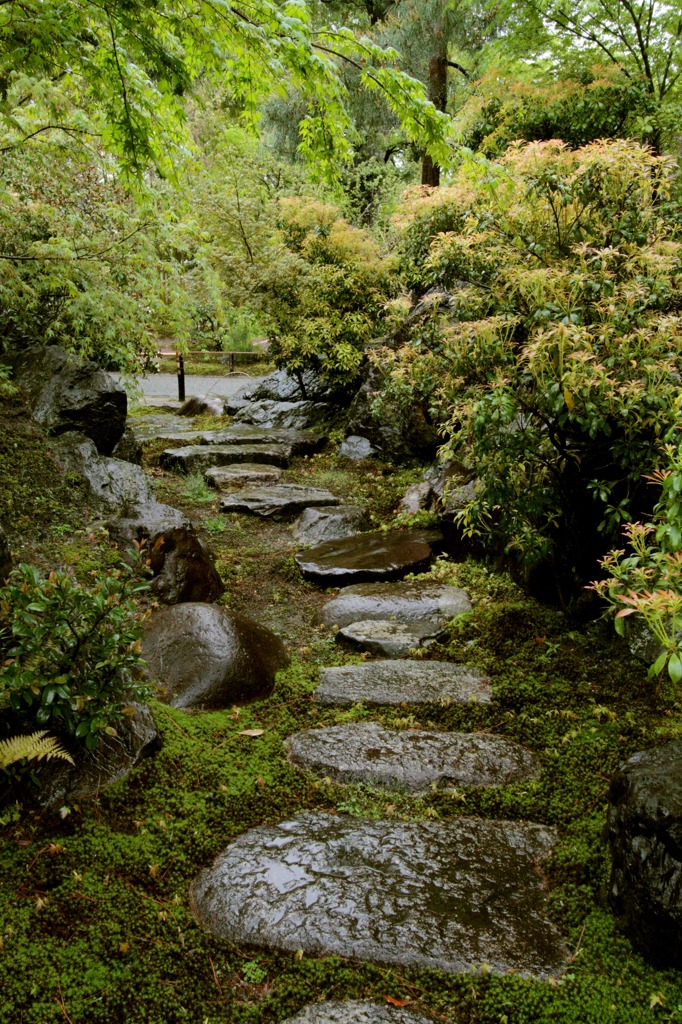 雨の宝厳院 03