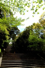 知恩院