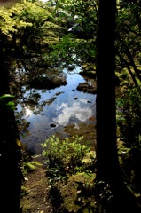 無鄰庵
