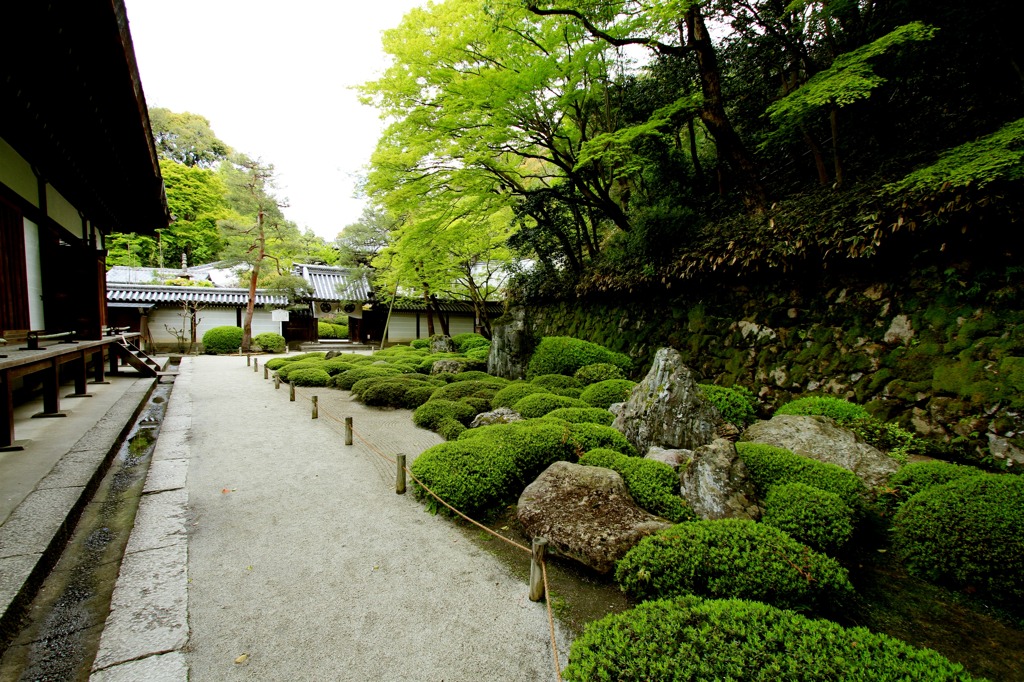 知恩院_万丈庭園