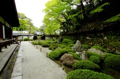 知恩院_万丈庭園