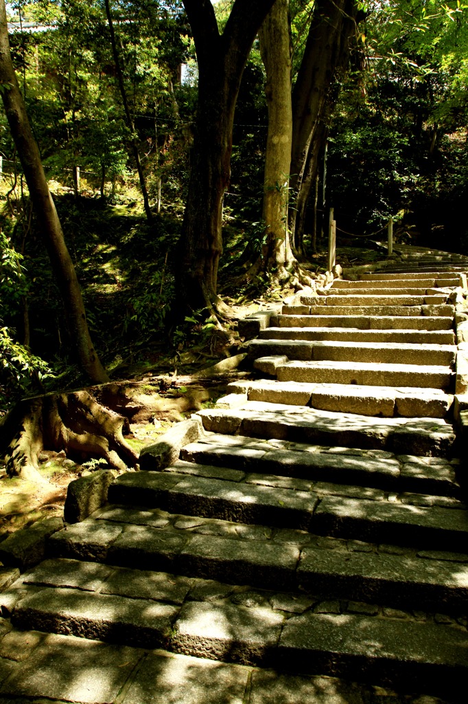 知恩院_万丈庭園