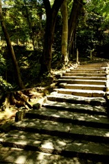 知恩院_万丈庭園