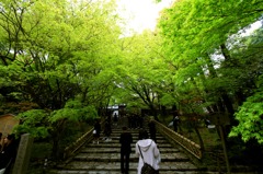 IMG_3928s