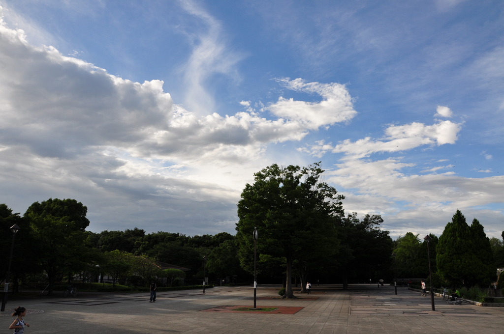 光が丘公園