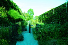 緑の生い茂る庭園