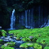 白糸の滝
