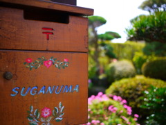 実家の庭