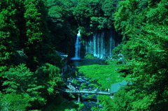展望台から