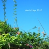 Sky of midsummer_2