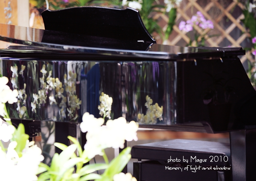 Melody