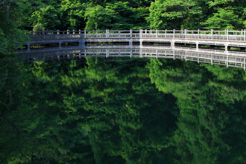 天空の橋