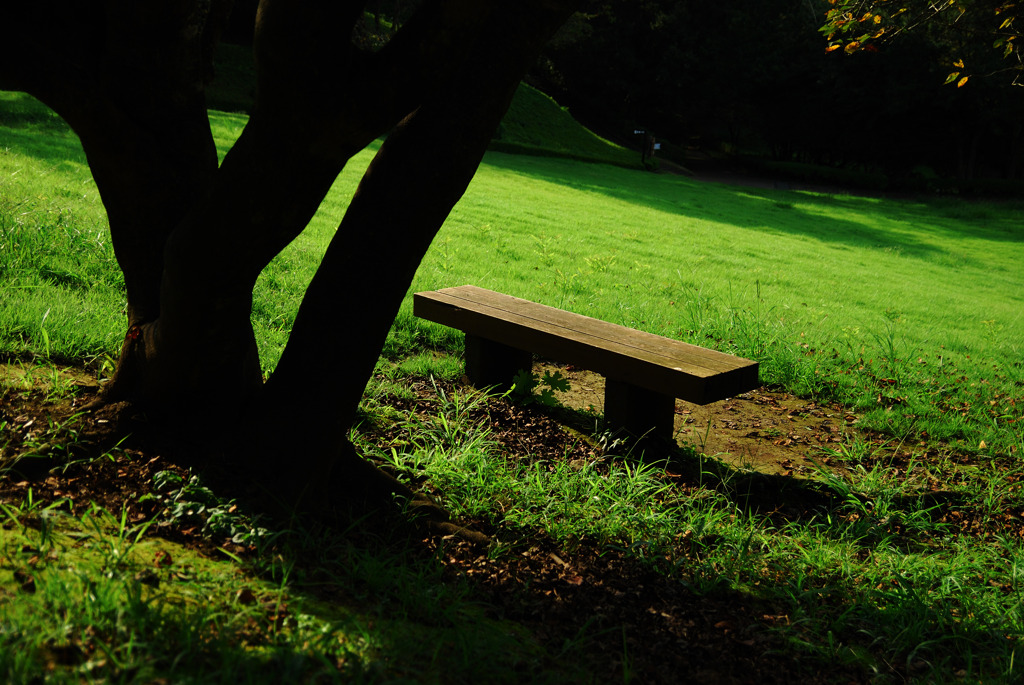 Bench