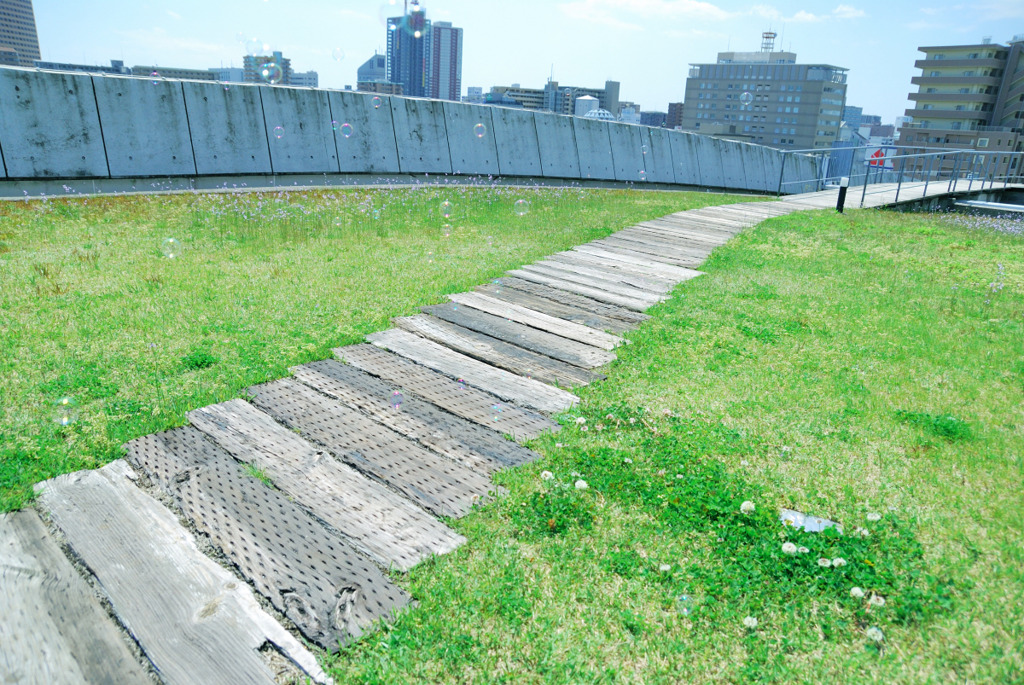 空中公園