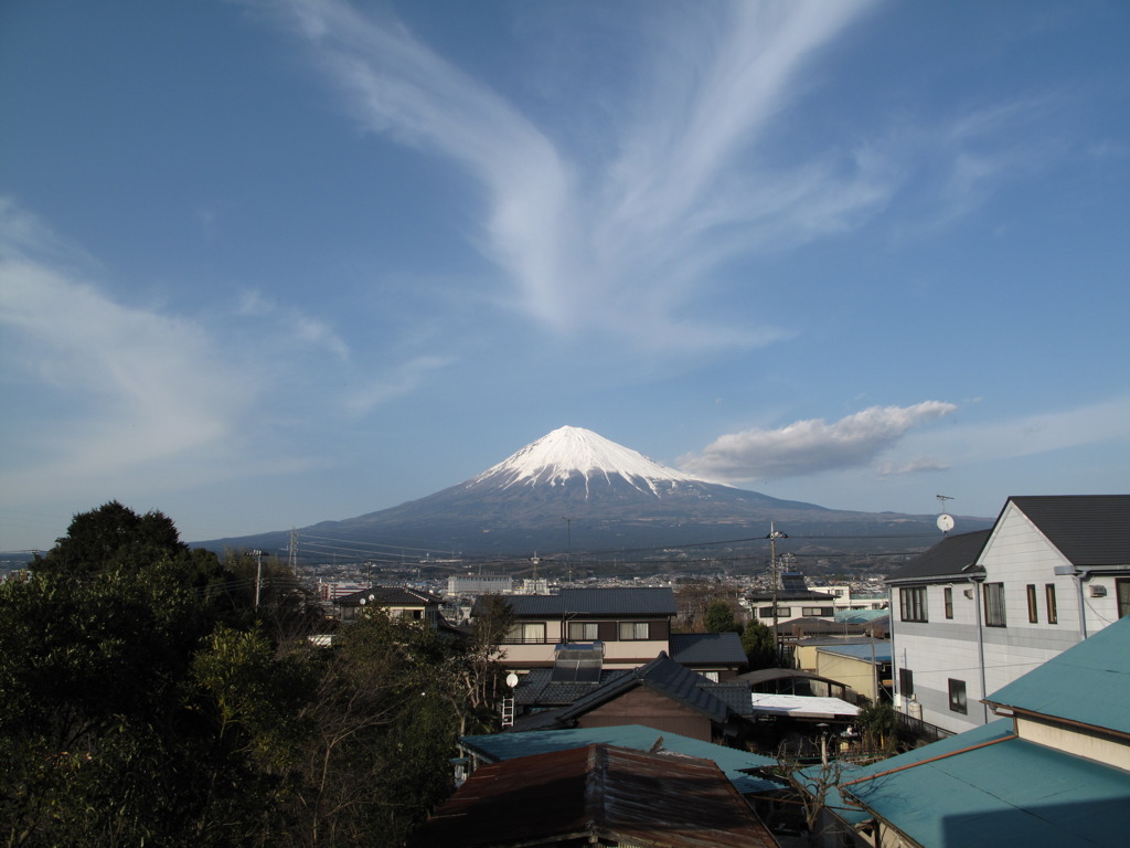 舞い降りる