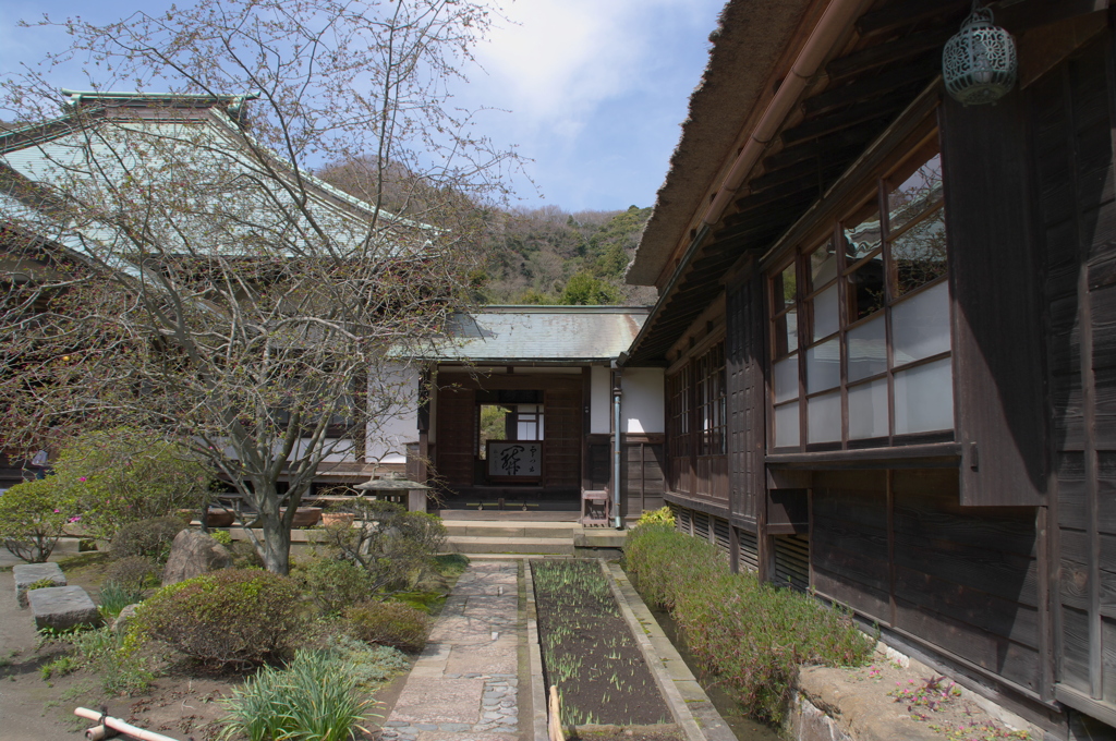 鎌倉散歩