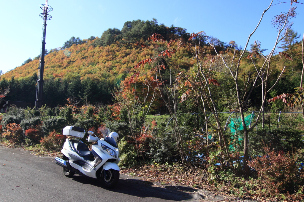 紅葉を求めて。。