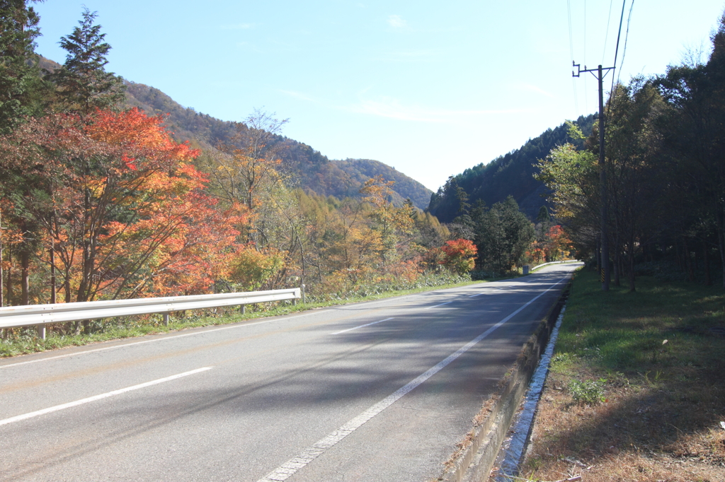 今年のせせらぎ街道