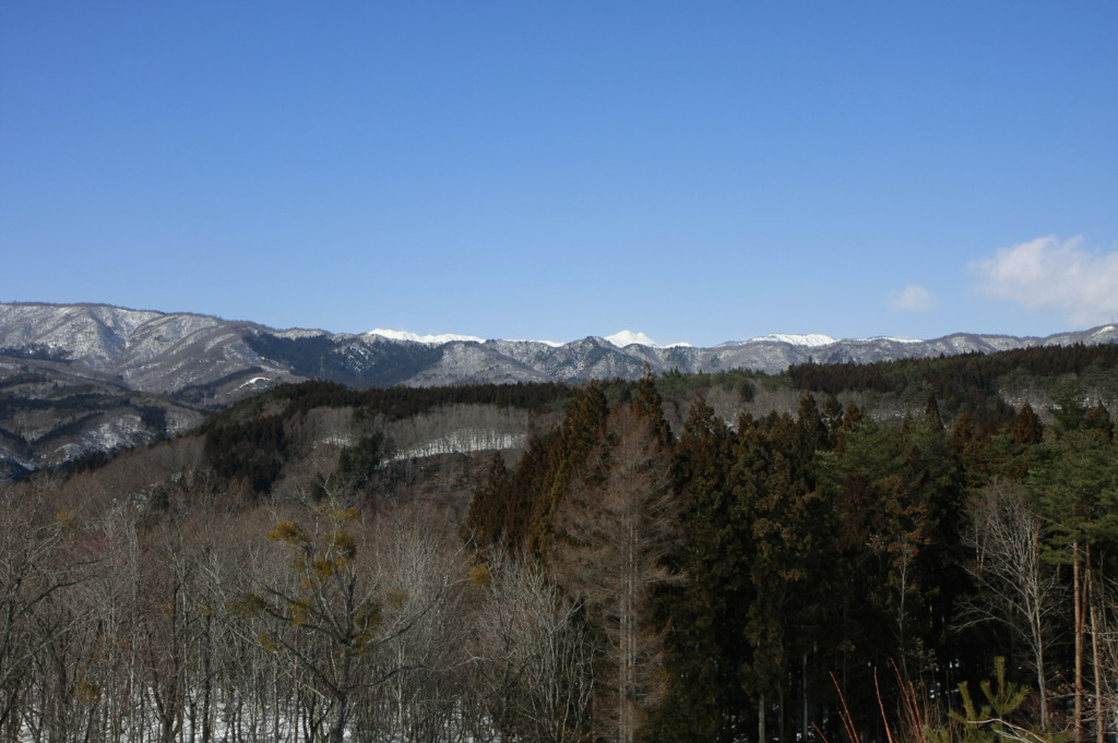 冬の雪化粧２