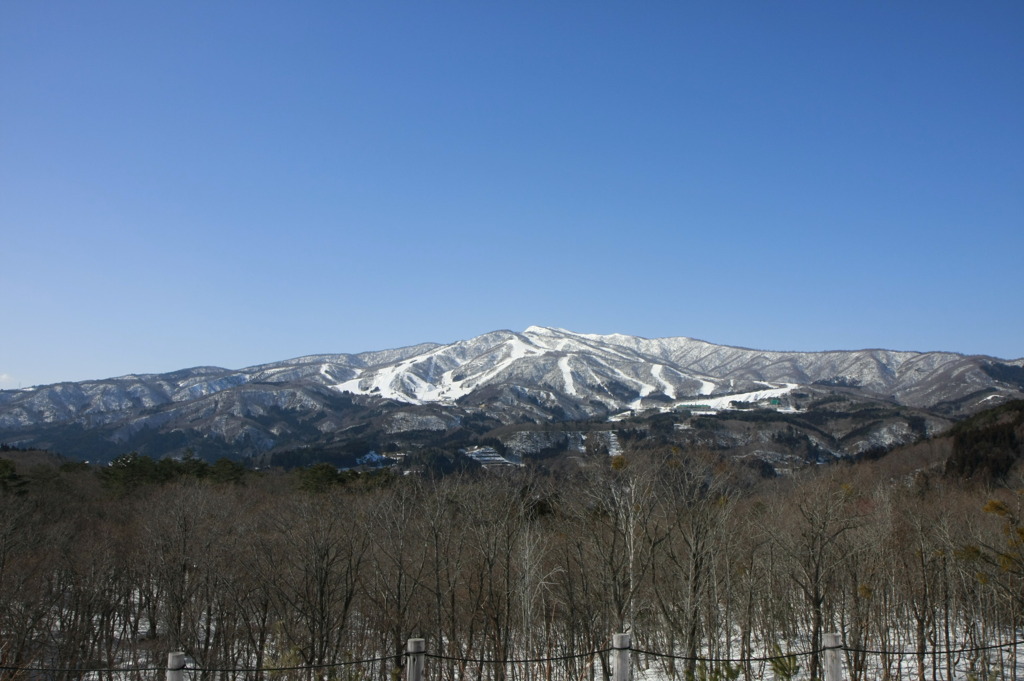 冬の雪化粧