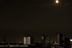 都心の夜