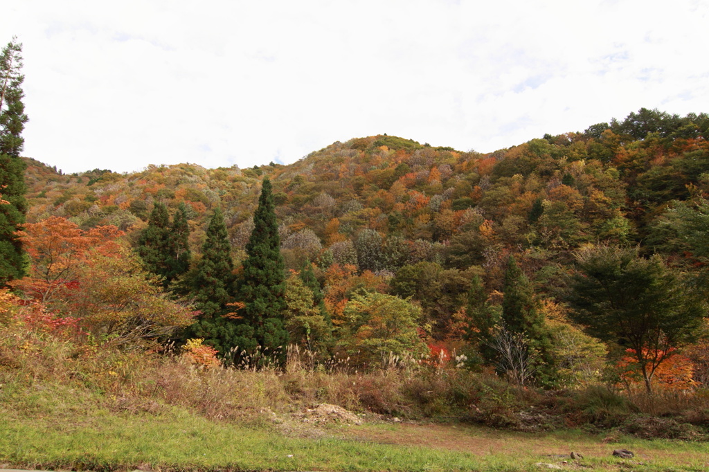 赤く染まる山