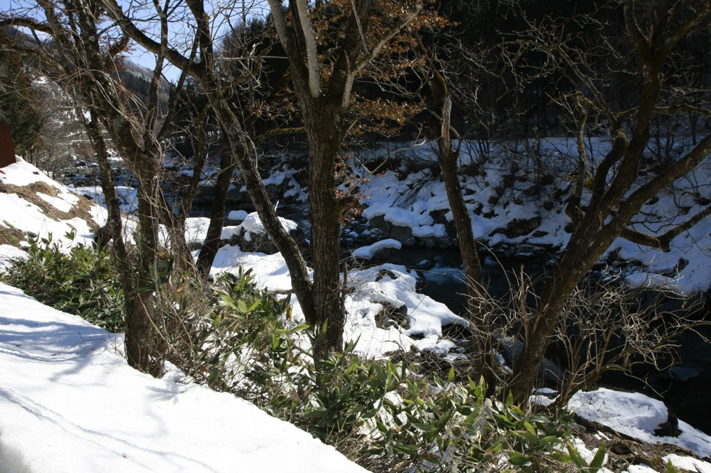 雪中の小川