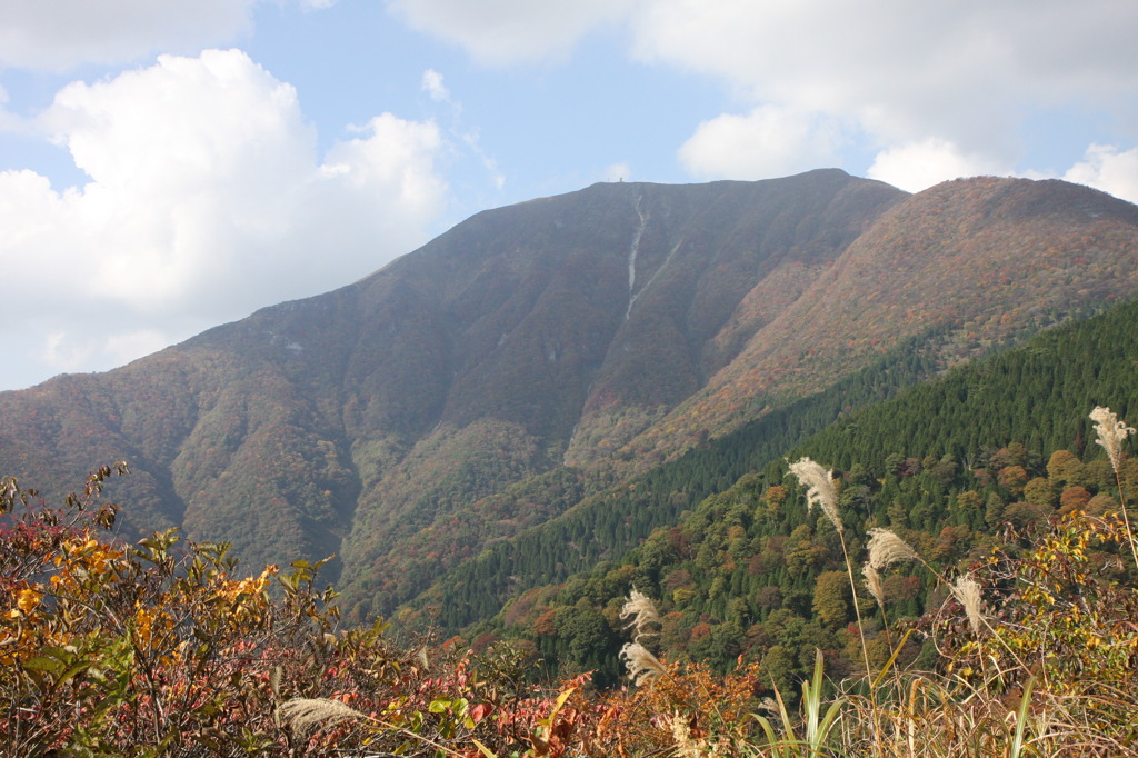 秋の山１