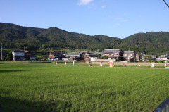 見張り番