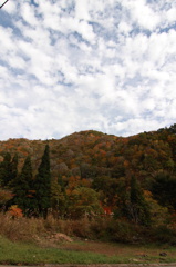 空と紅葉