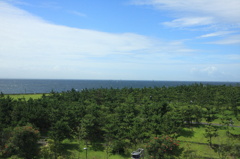 窓辺の絶景